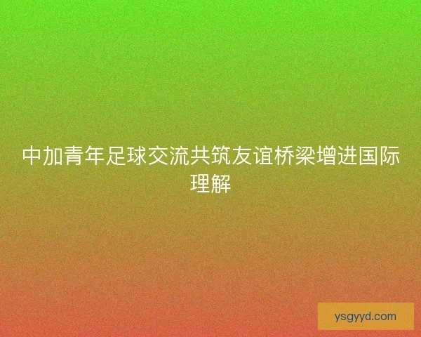 中加青年足球交流共筑友谊桥梁增进国际理解
